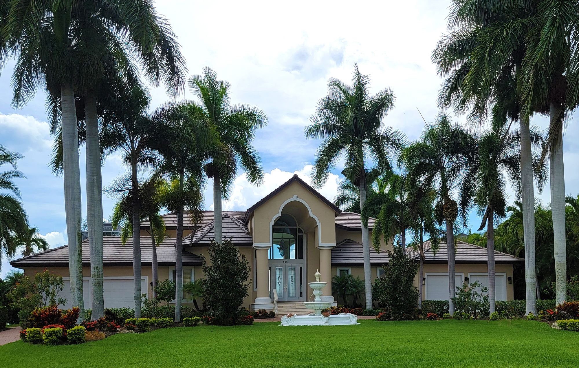 Residential home surrounded by greenery